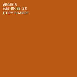 #B95915 - Fiery Orange Color Image